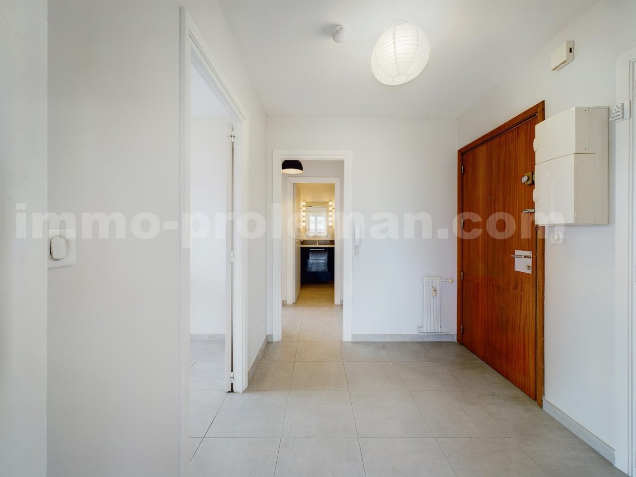 Appartement 2 Pièce(s) ANNEMASSE - Photo 4