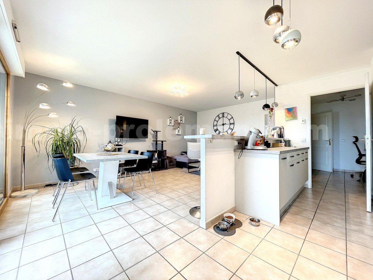 Appartement 3 Pièce(s) ANNEMASSE - Photo 9