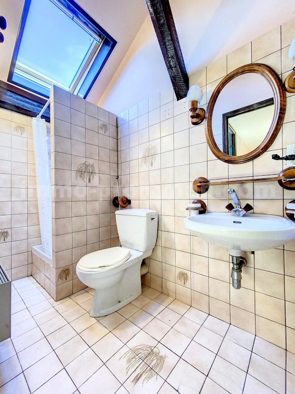 Maison 7 Pièce(s) GAILLARD - Photo 22