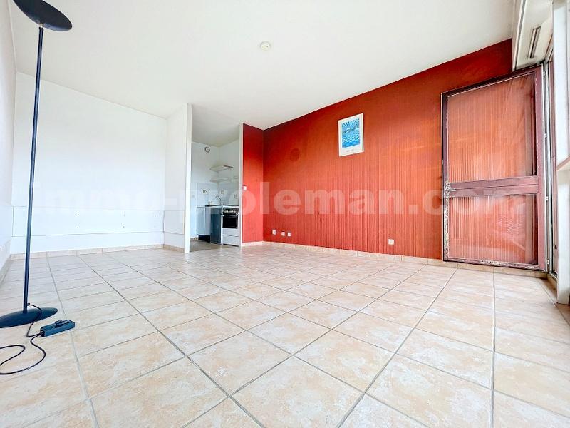 Appartement 1 Pièce(s) GAILLARD - Photo 3