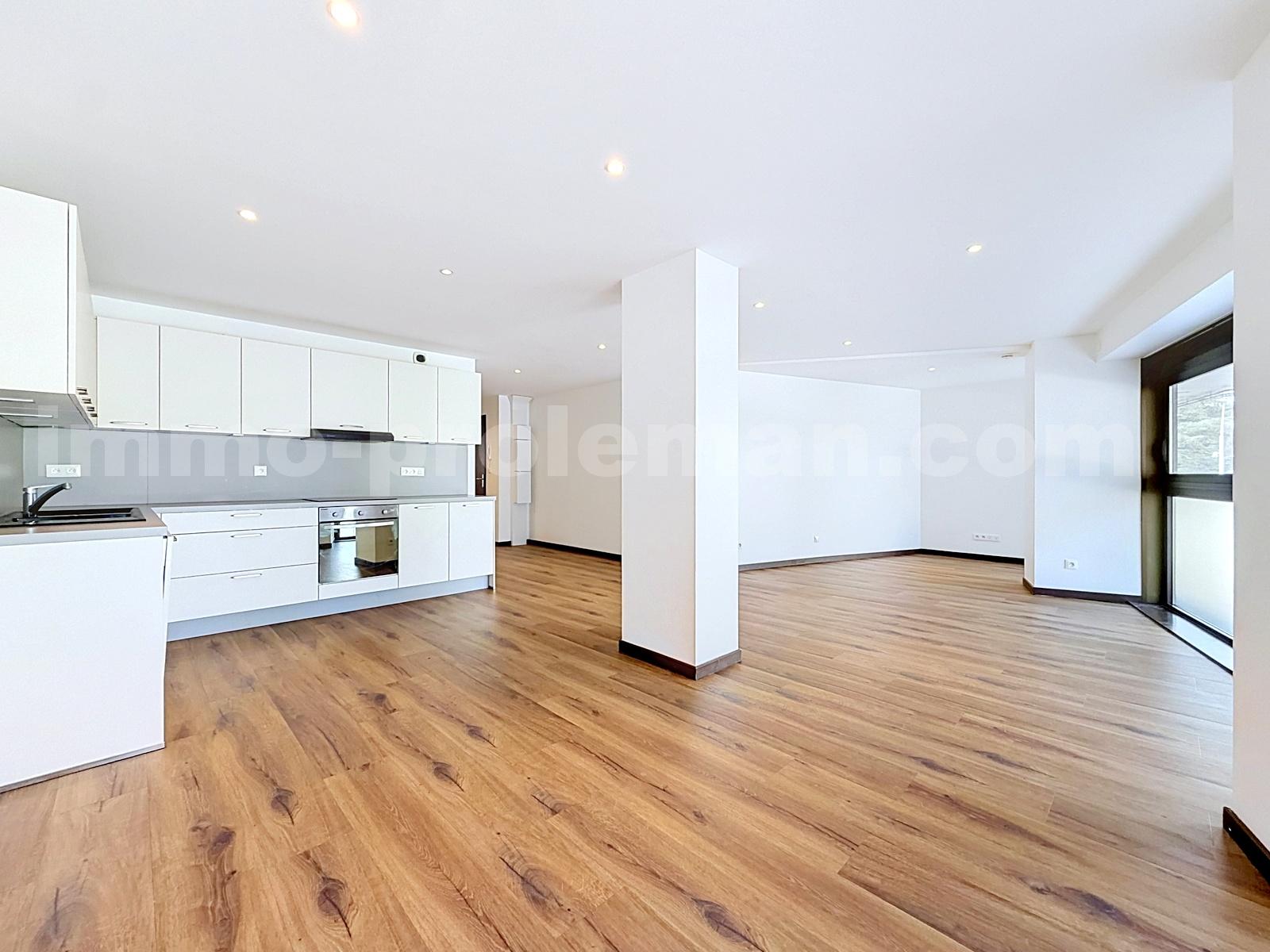 Apartment 3 Rooms ANNEMASSE - Photo 4