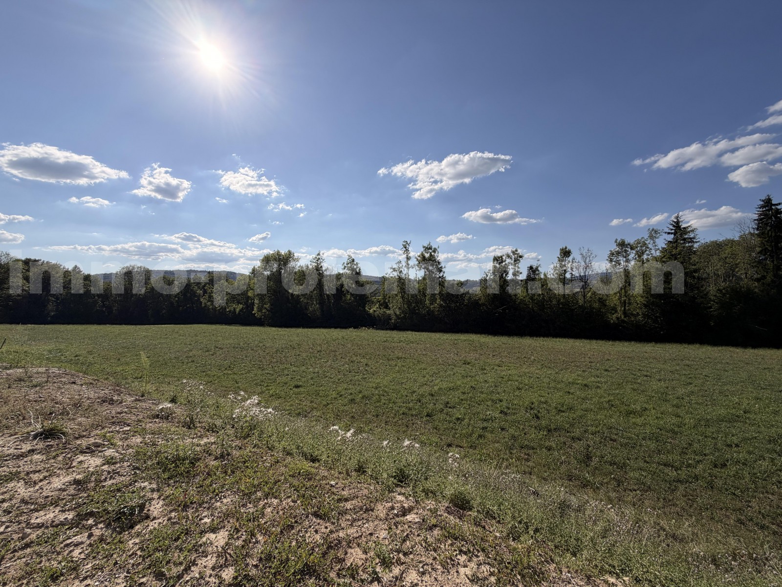 Ground  LES OLLIERES - Photo 2