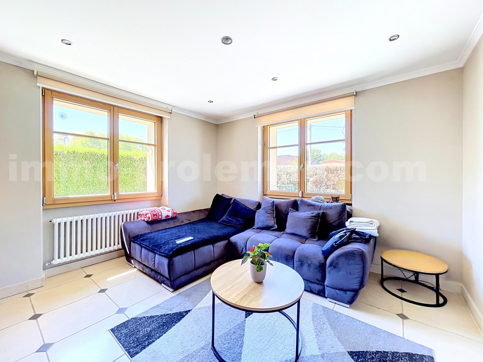 House 5 Rooms CHENEX - Photo 4