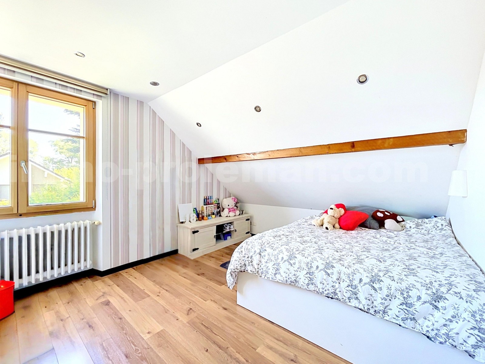 House 5 Rooms CHENEX - Photo 13