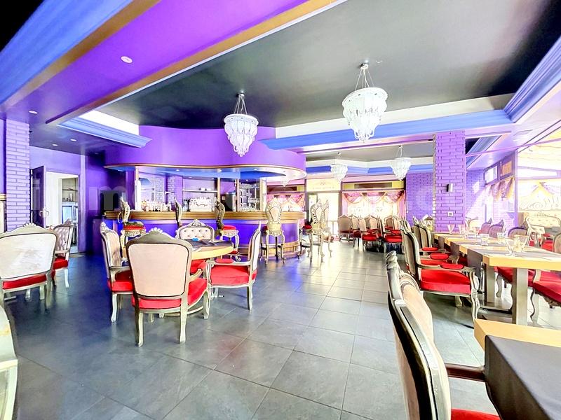 Local activities 11 Rooms DIVONNE-LES-BAINS - Photo 4