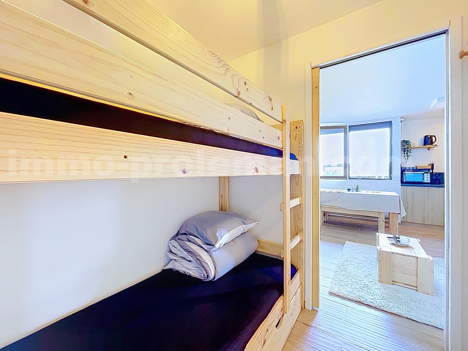 Apartment 1 Rooms SAMOENS - Photo 7