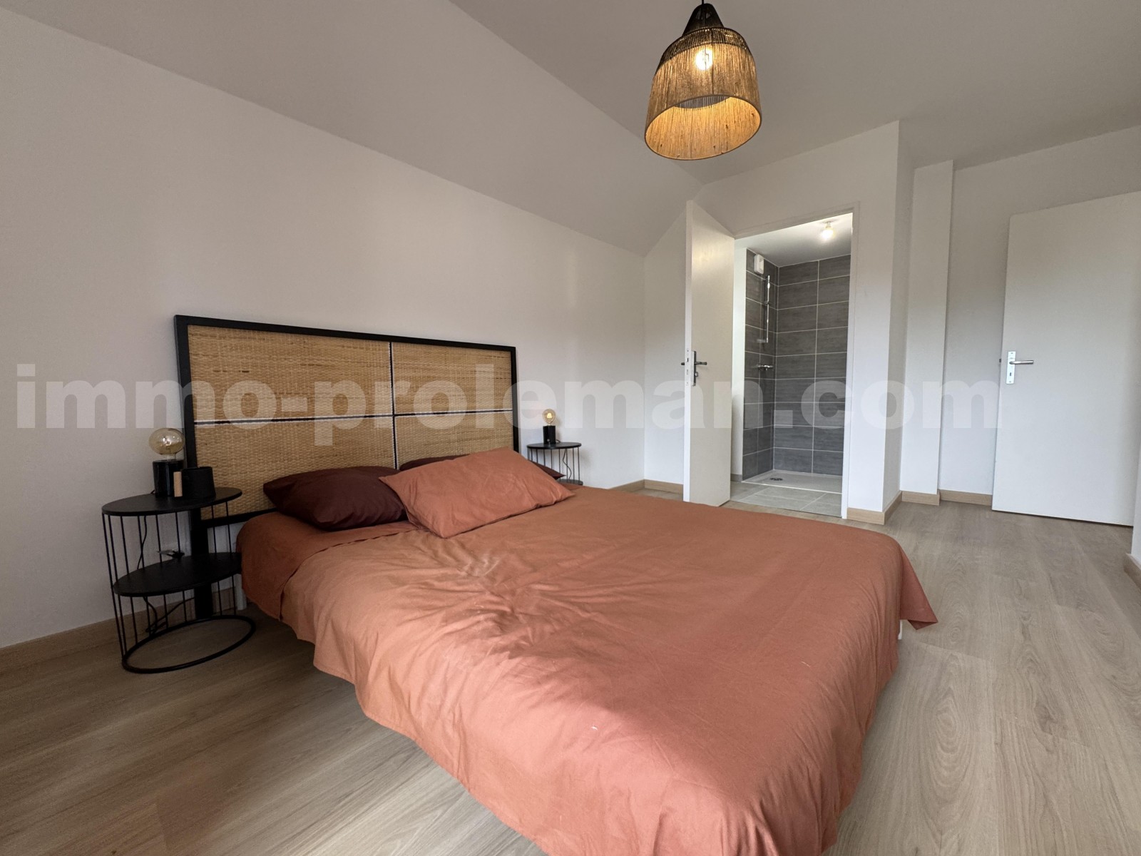 Apartment 5 Rooms BONS-EN-CHABLAIS - Photo 5