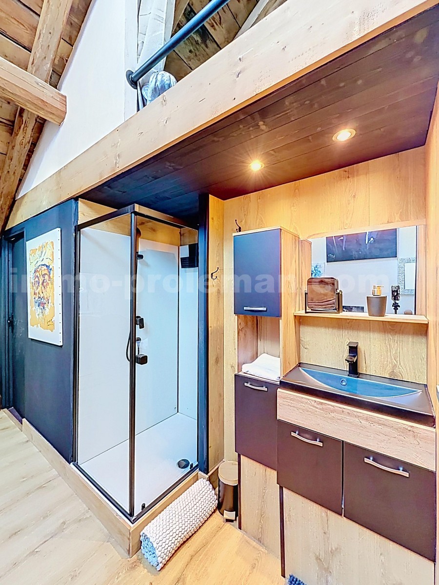 Apartment 4 Rooms ARACHES-LA-FRASSE - Photo 21