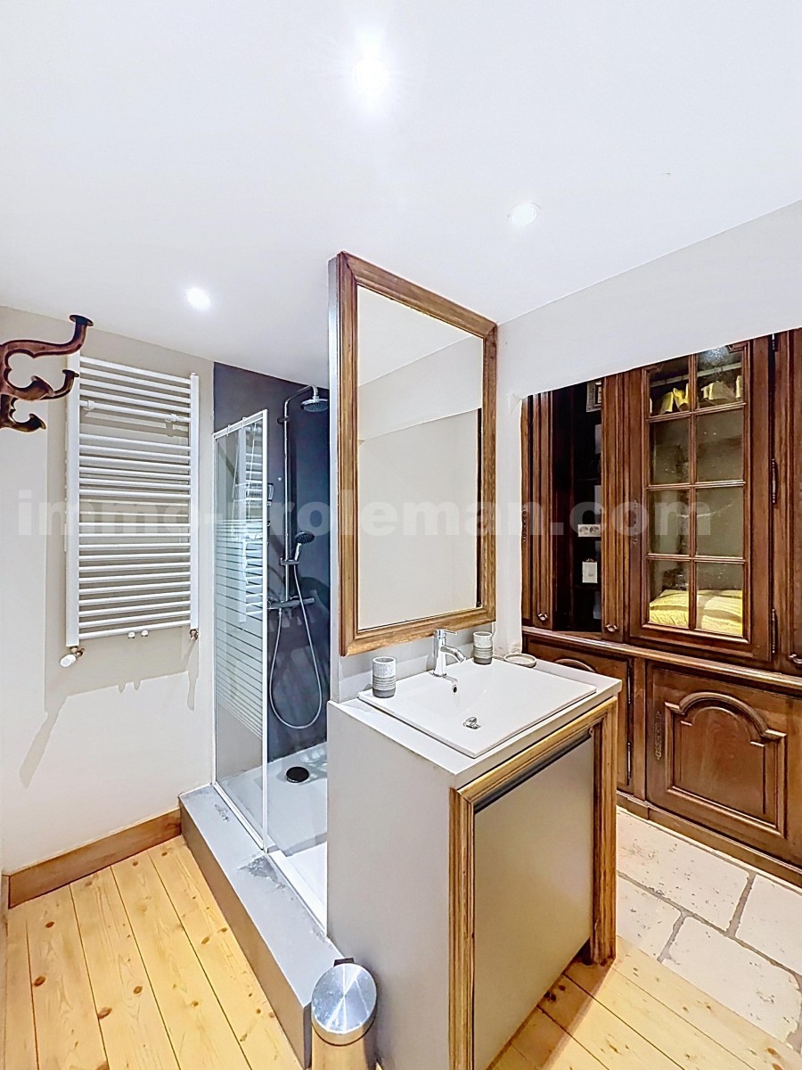 Apartment 7 Rooms ARACHES-LA-FRASSE - Photo 18