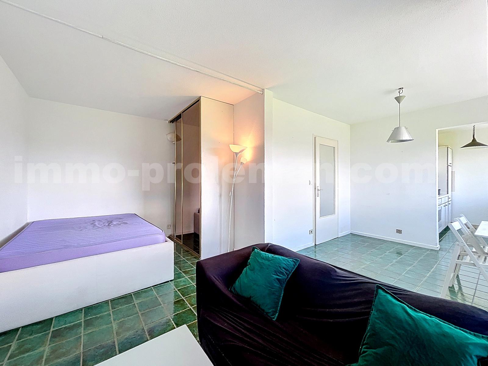 Appartement 1 Pièce(s) SAINT-JULIEN-EN-GENEVOIS - Photo 7