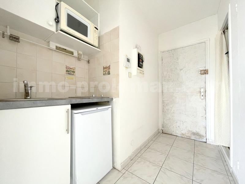 Appartement 1 Pièce(s) GAILLARD - Photo 5