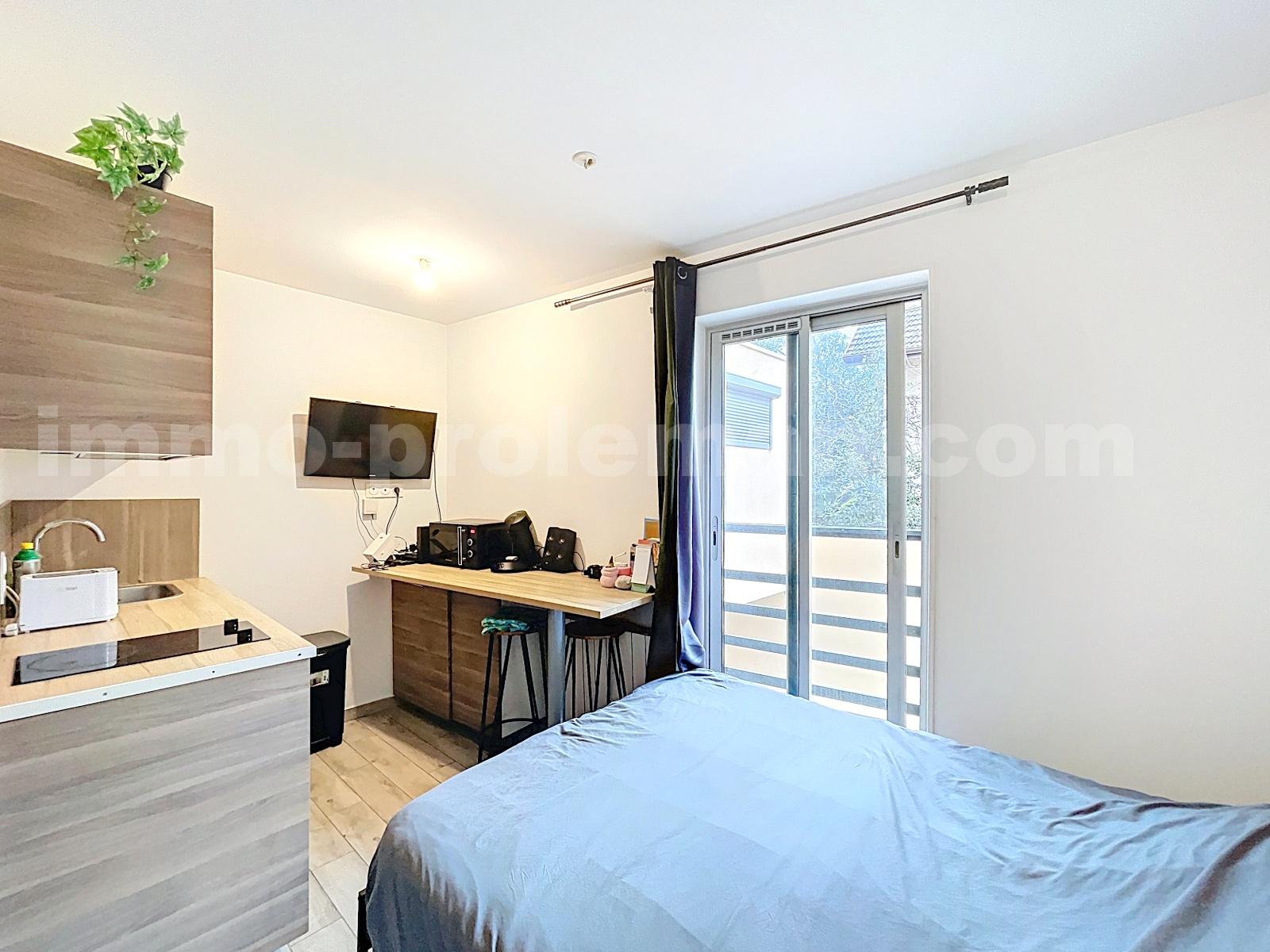 Appartement 1 Pièce(s) ANNEMASSE - Photo 3