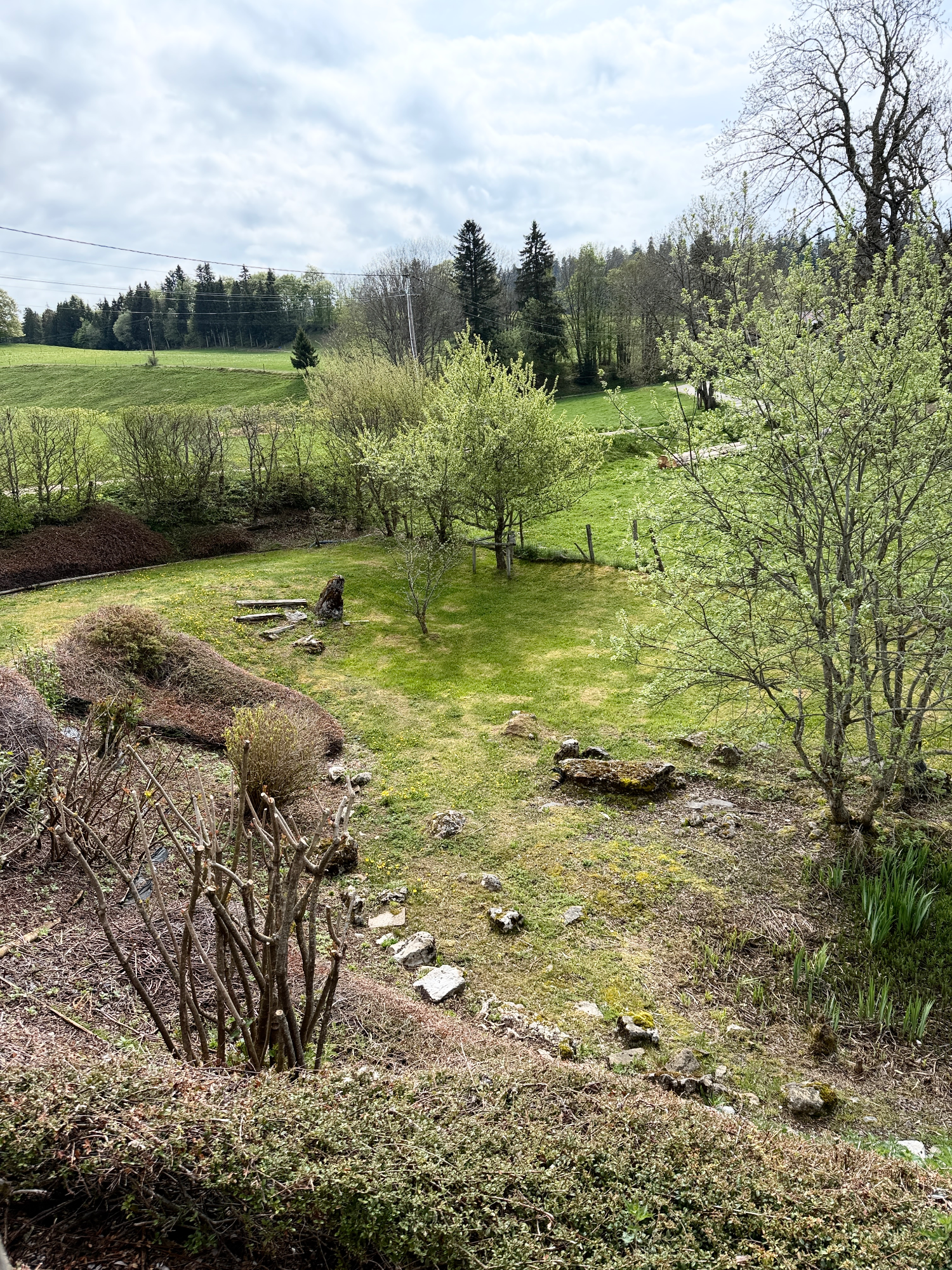 House 12 Rooms Les Gras - Photo 17