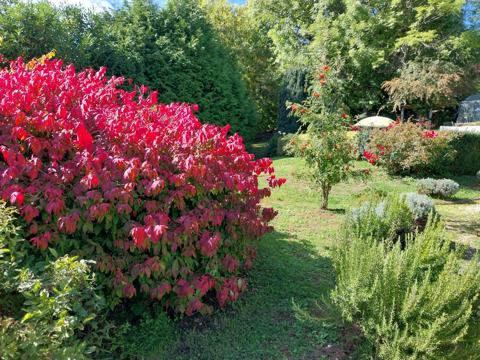 Maison 6 Pièce(s) Saint-Germain-du-Teil