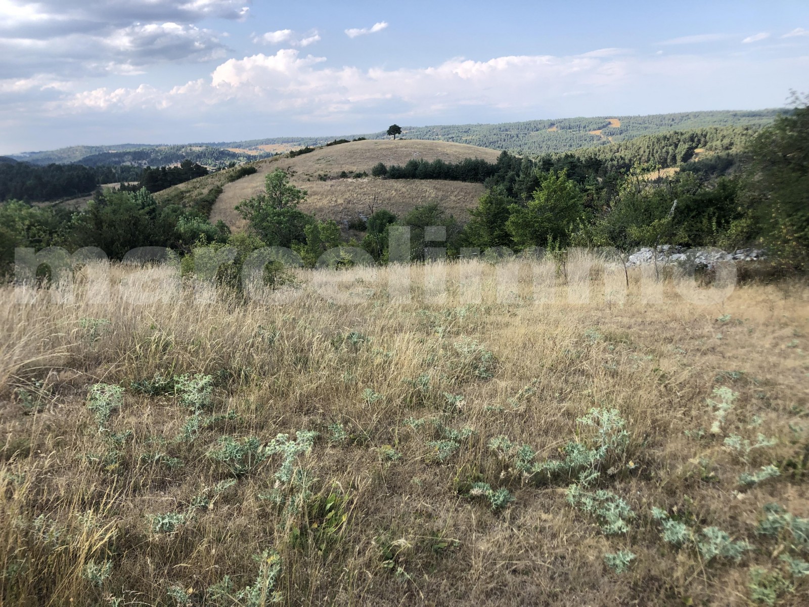 Terrain Constructible  Gorges du Tarn Causses