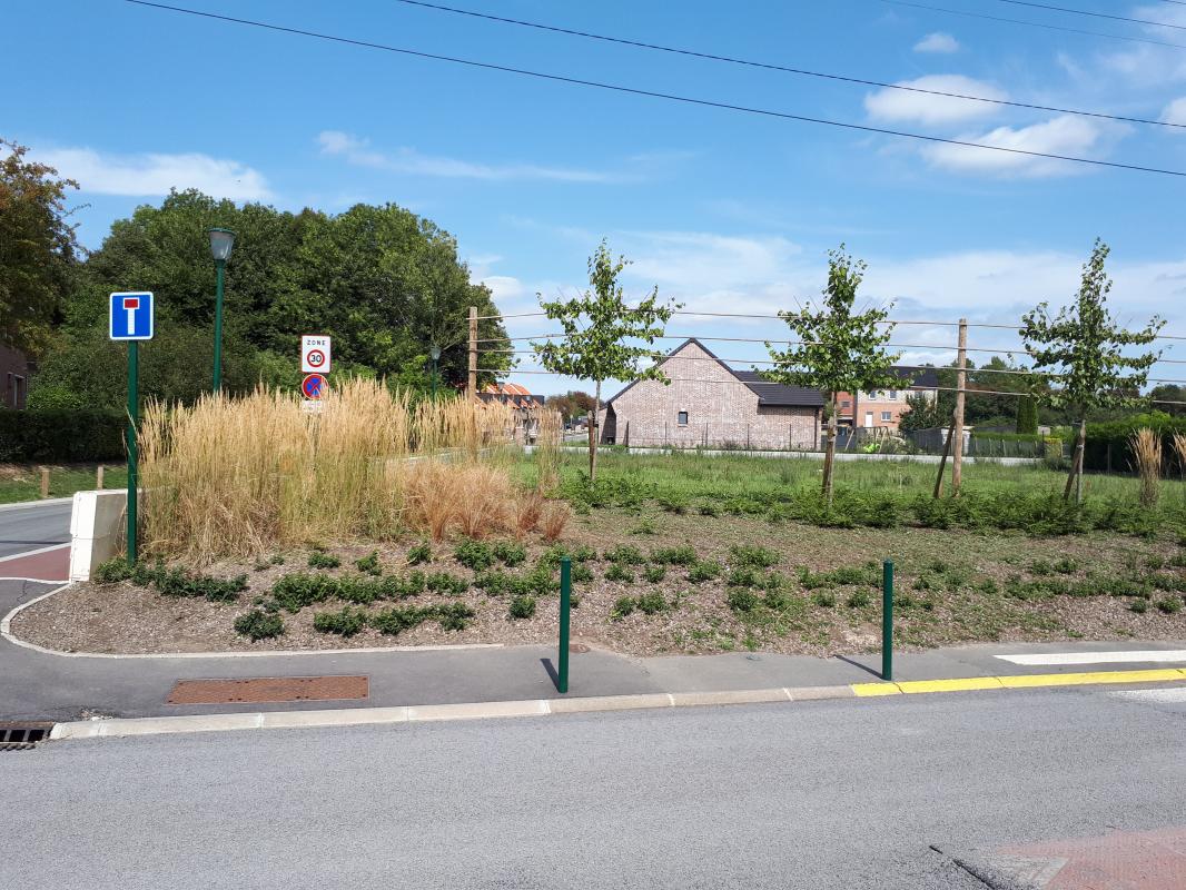 Terrain  Pernes - Photo 4
