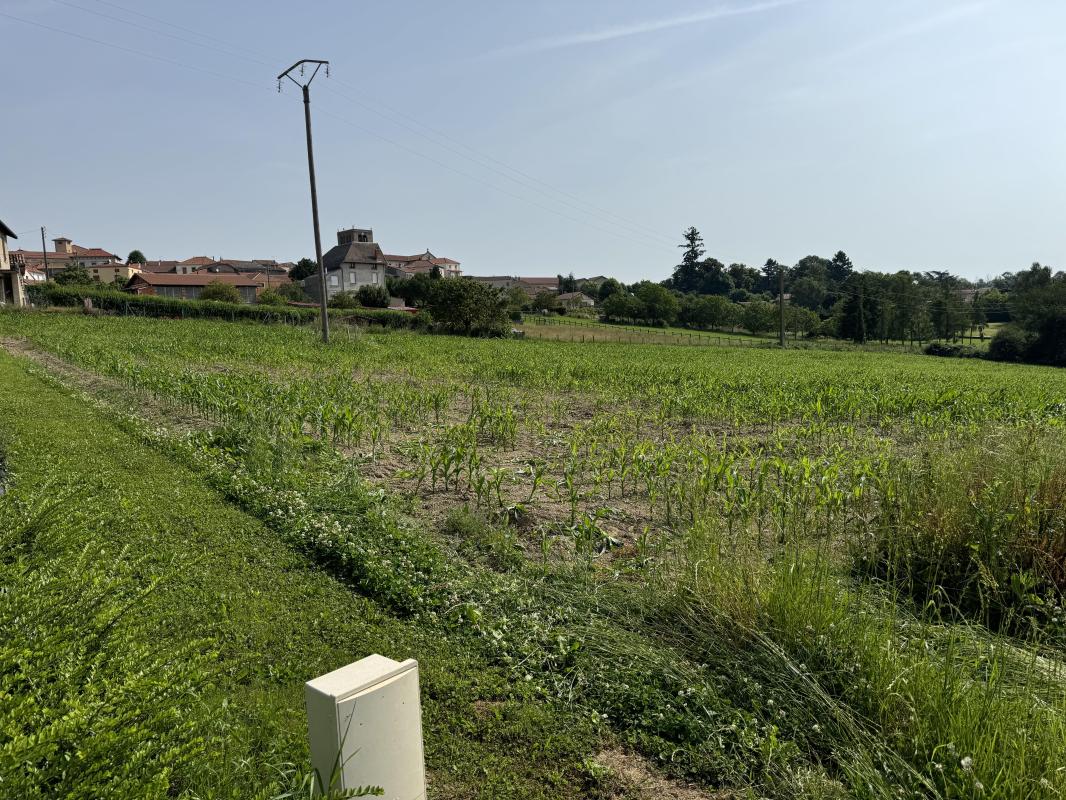 Terrain  Cremeaux - Photo 4