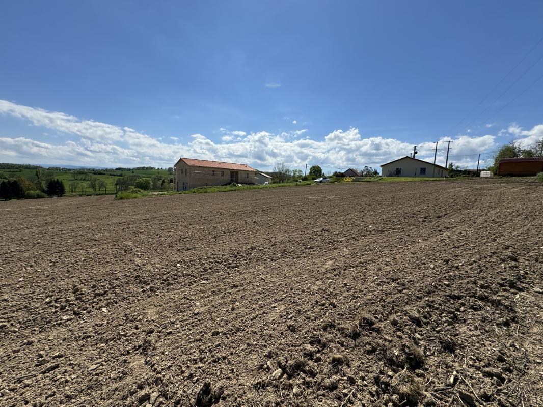 Terrain  Cremeaux - Photo 5