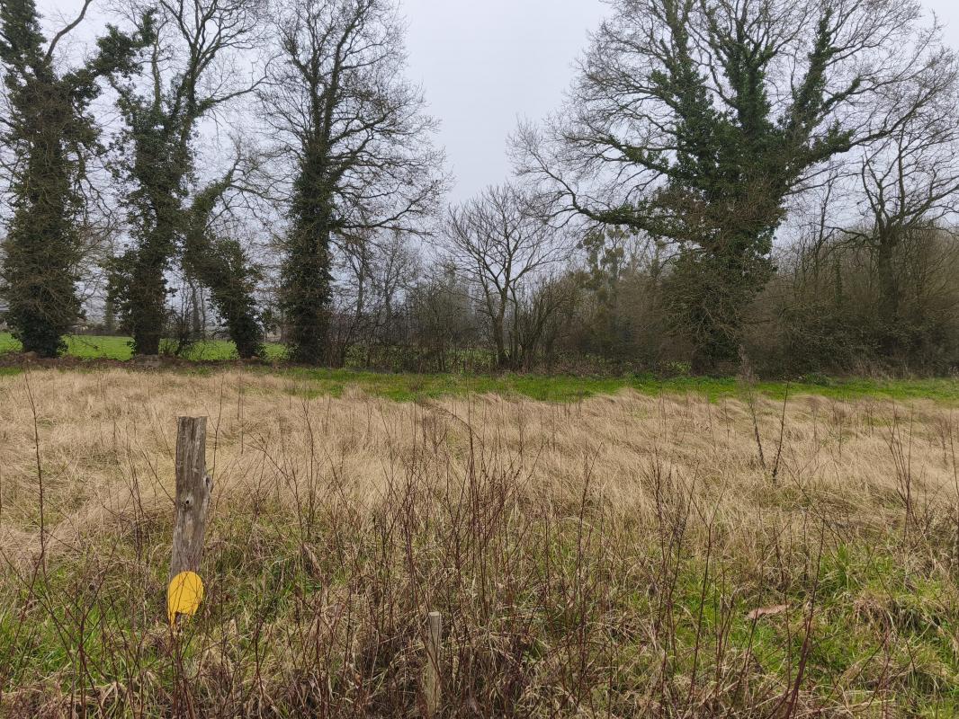 Terrain  Saint-Thual