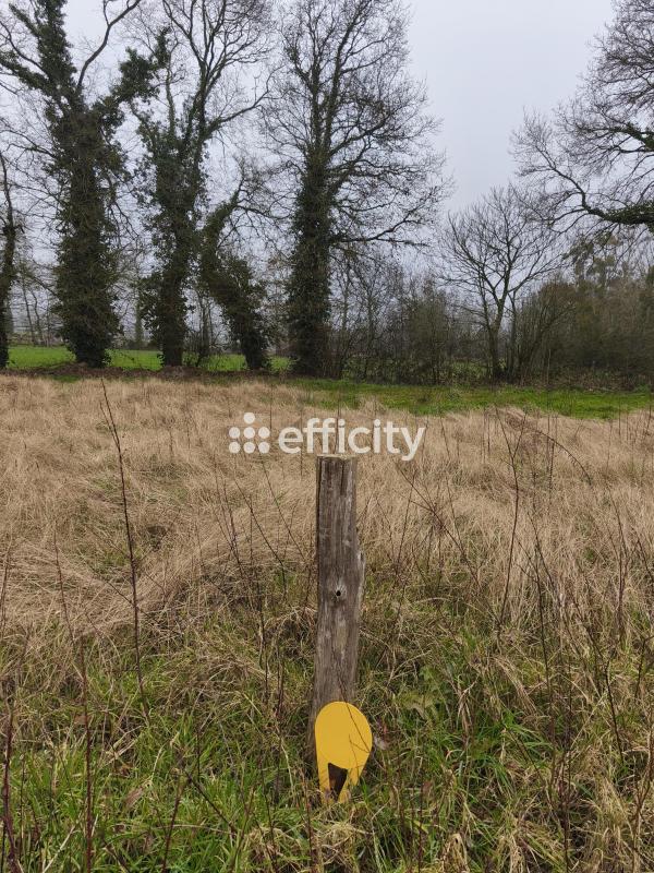 Terrain  Saint-Thual