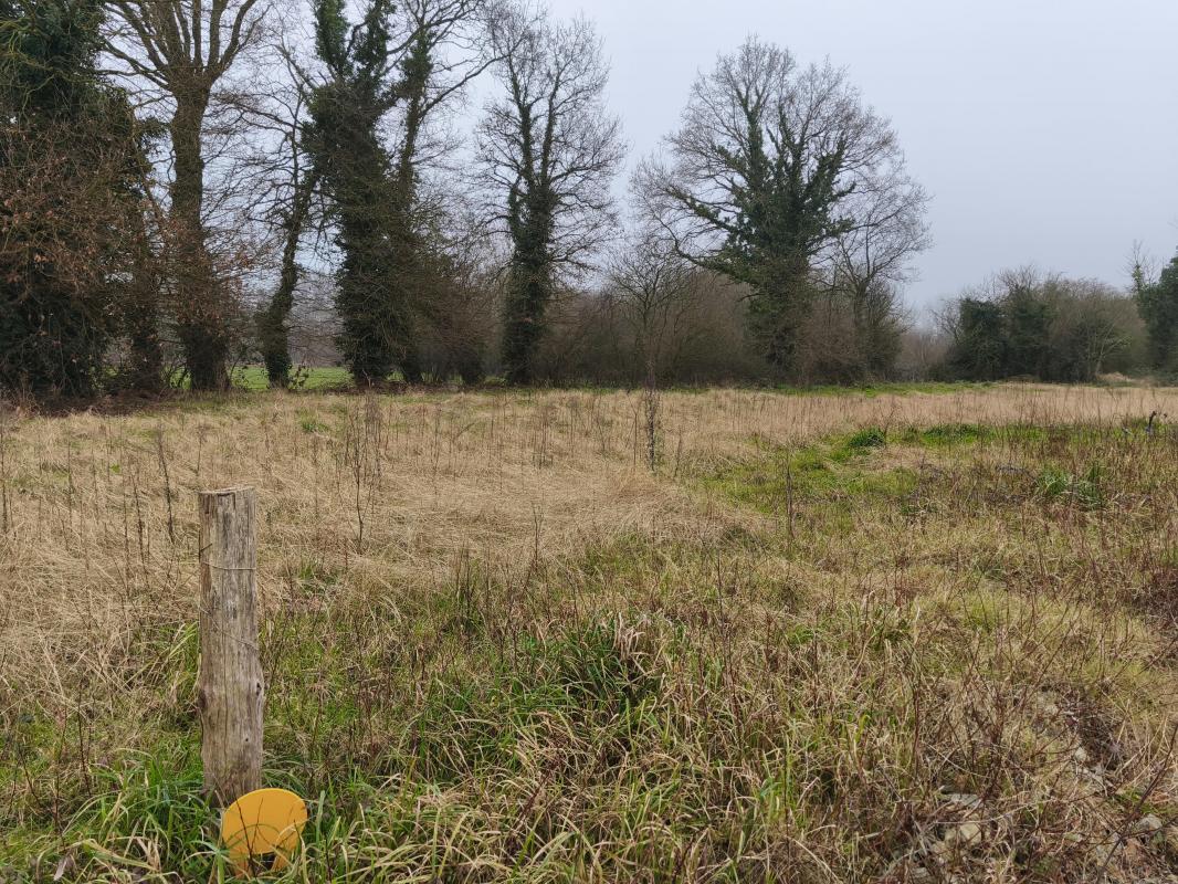 Terrain  Saint-Thual