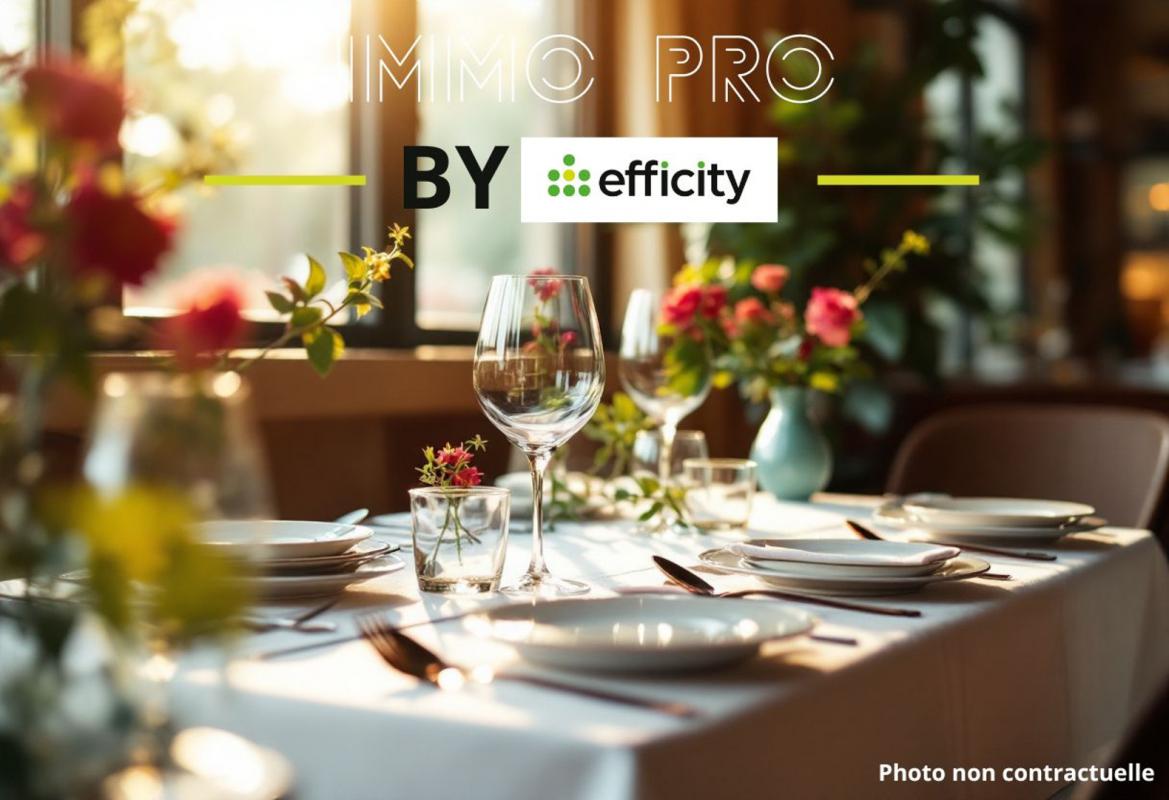 Commerces/negoce  Vannes