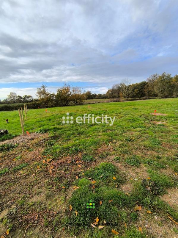 Terrain  Talmont-Saint-Hilaire