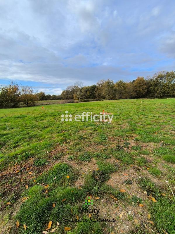 Terrain  Talmont-Saint-Hilaire