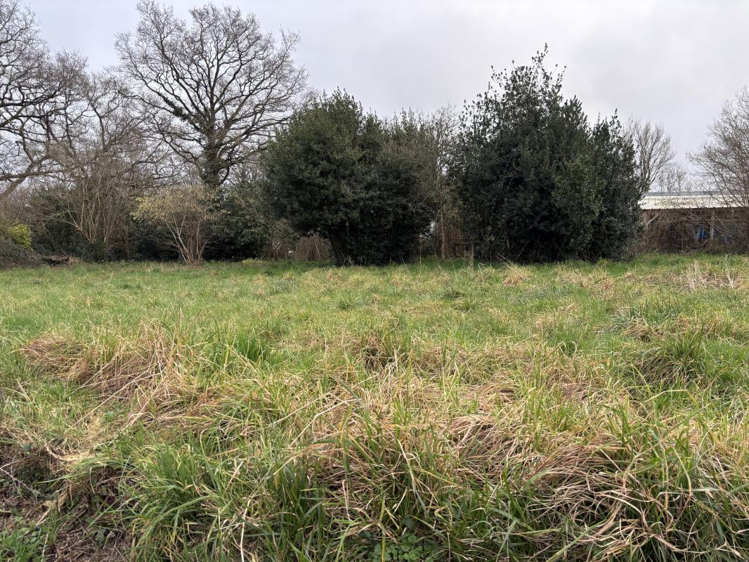 Terrain  Pontchâteau