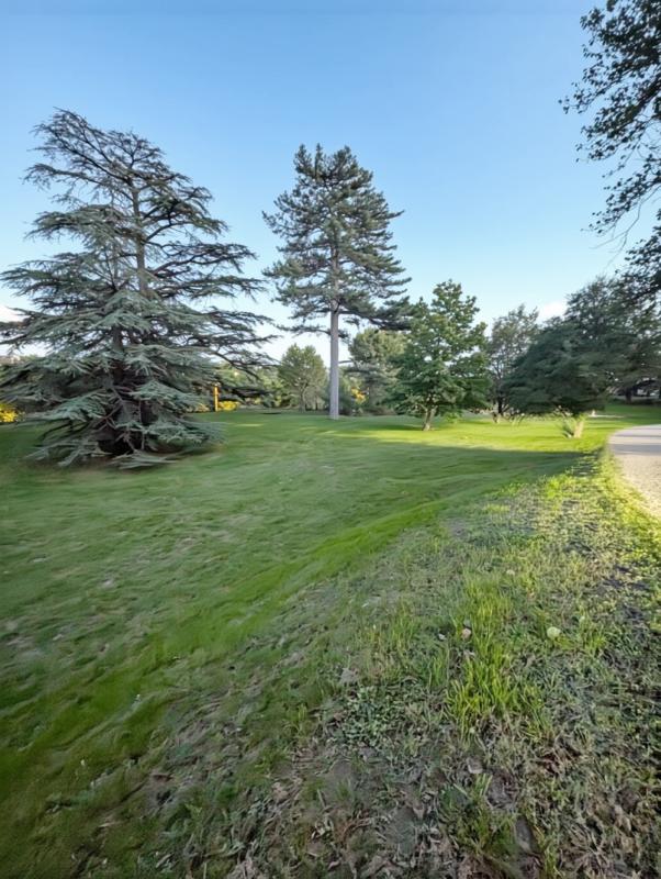 Appartement 2 Pièce(s) Irigny