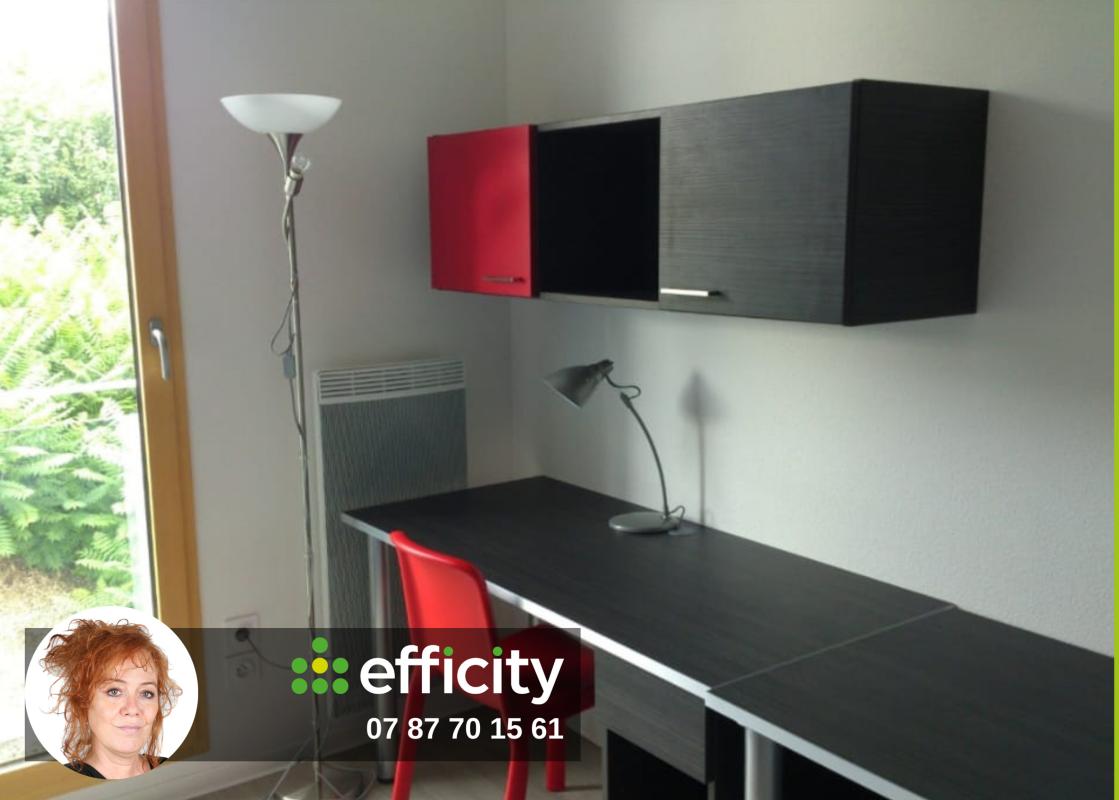 Appartement 1 Pièce(s) Lyon 9eme Arrondissement