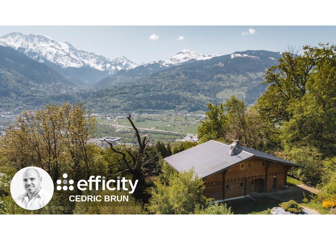 Chalet 7 Pièce(s) Passy