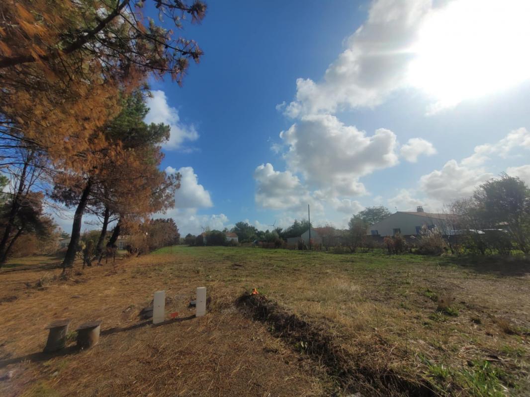Terrain  L'Île-d'Olonne