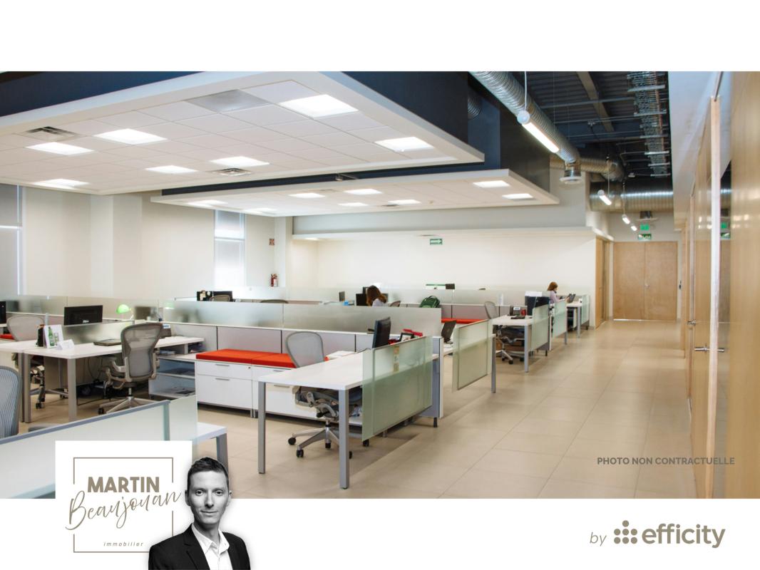 Locaux/biens immobiliers  La Roche-sur-Foron