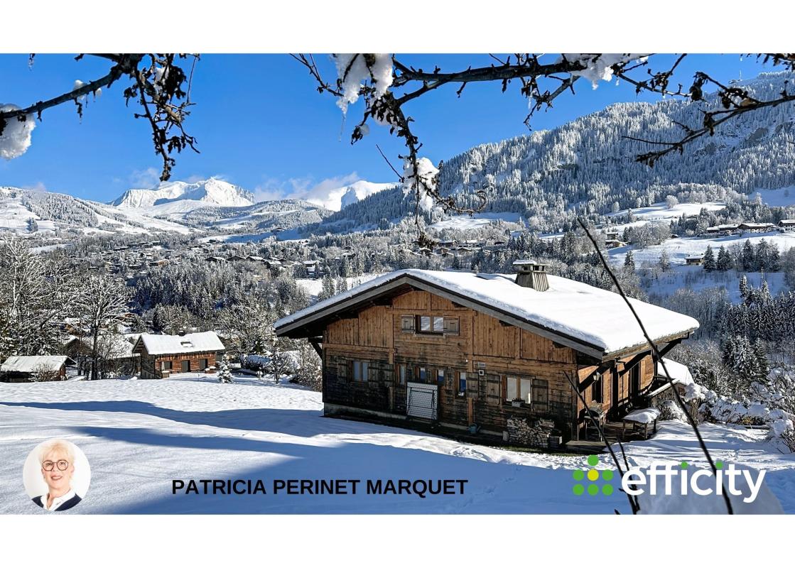 Chalet 12 Pièce(s) Megève