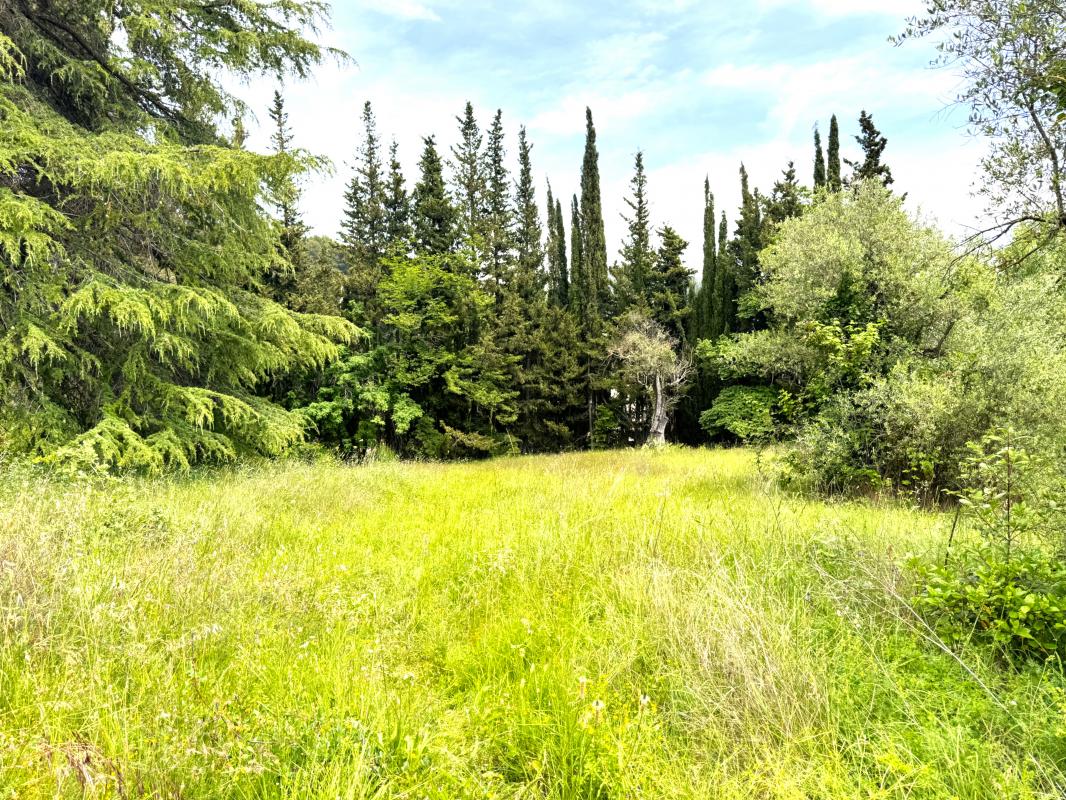 Terrain  Tourrette-Levens