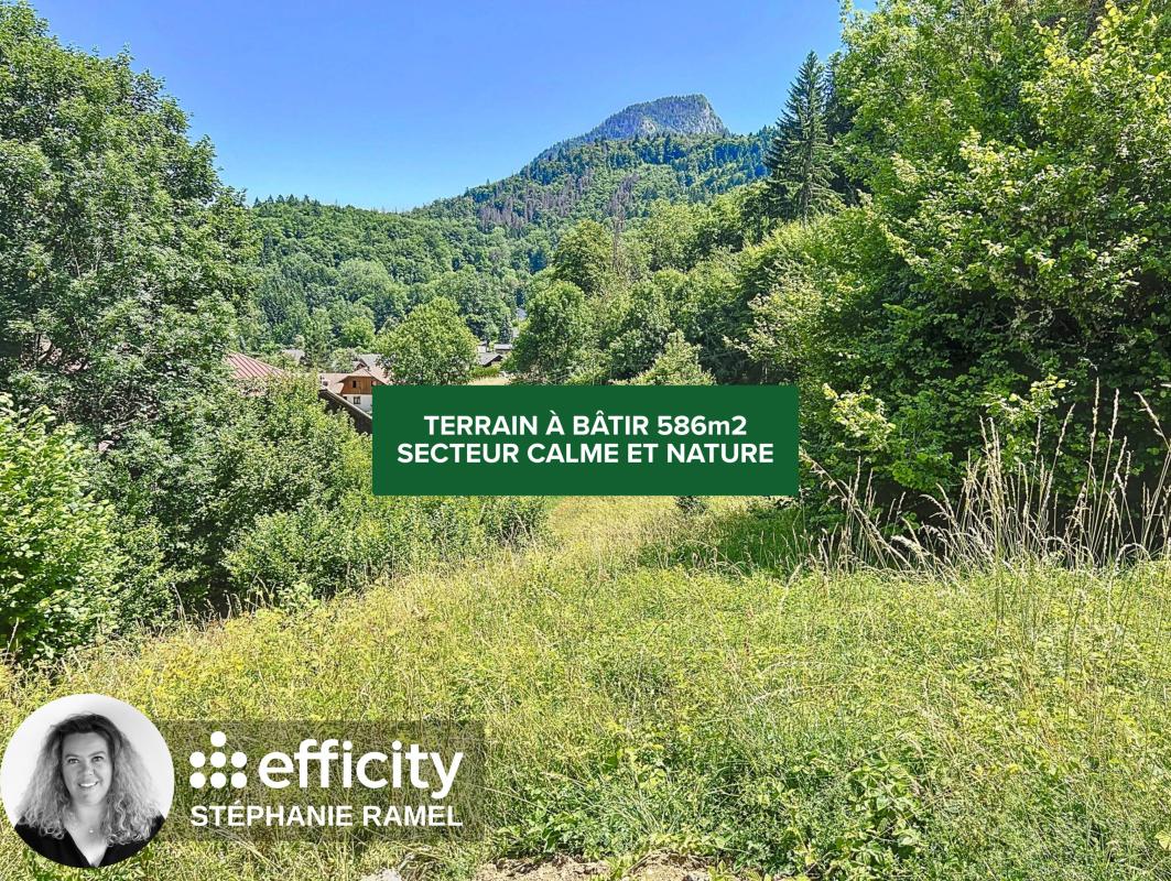 Terrain  Mieussy
