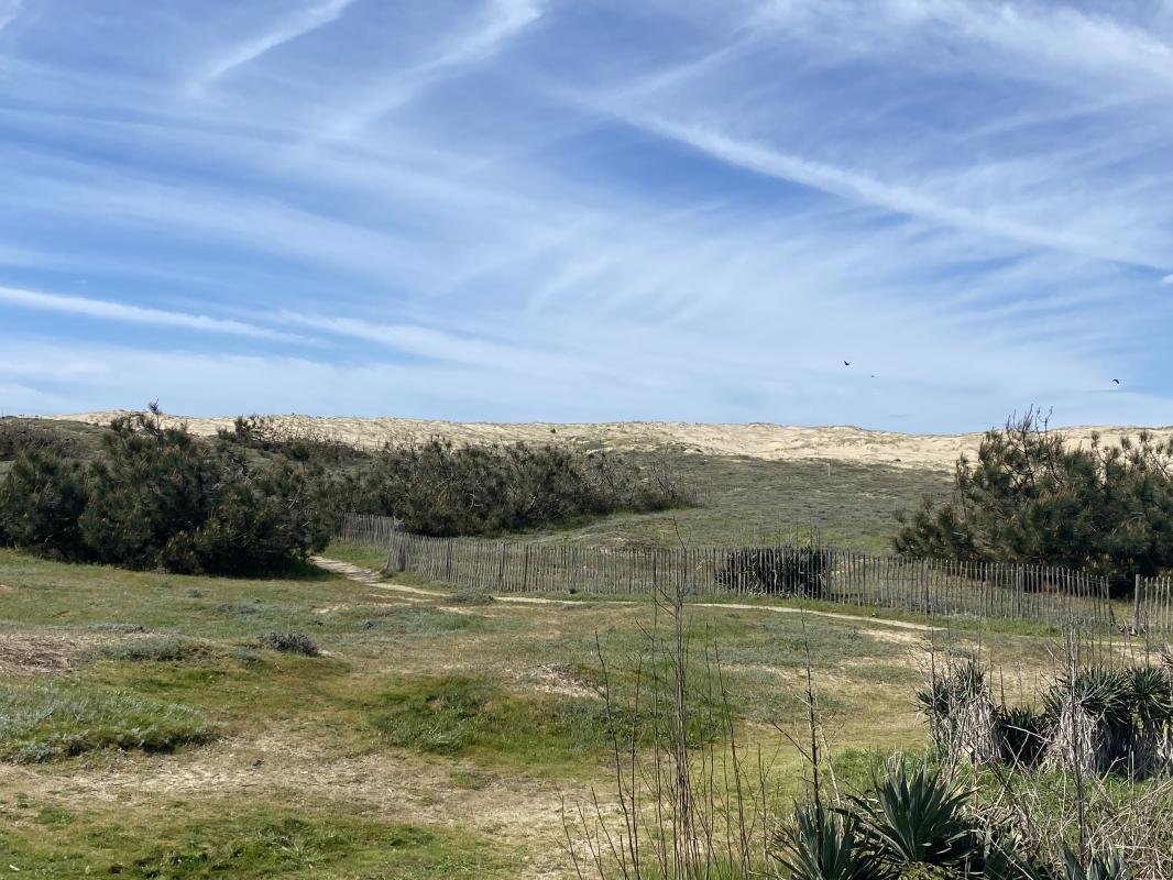 Maison 4 Pièce(s) Lège-Cap-Ferret