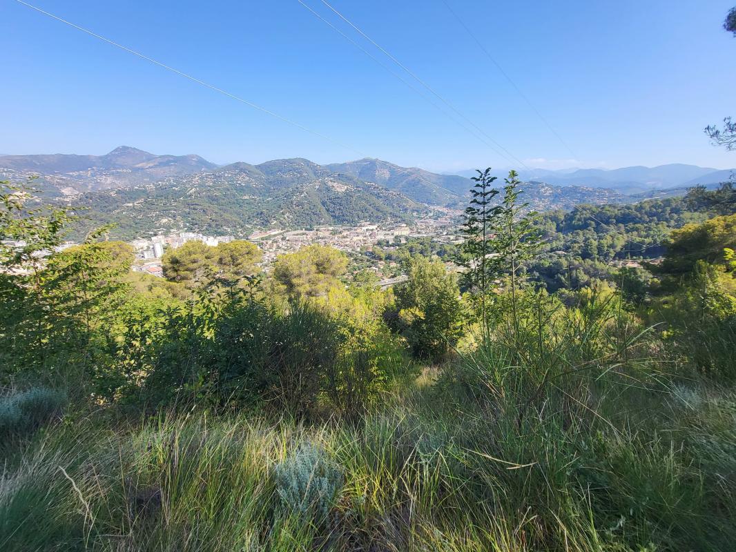 Terrain  La Trinité