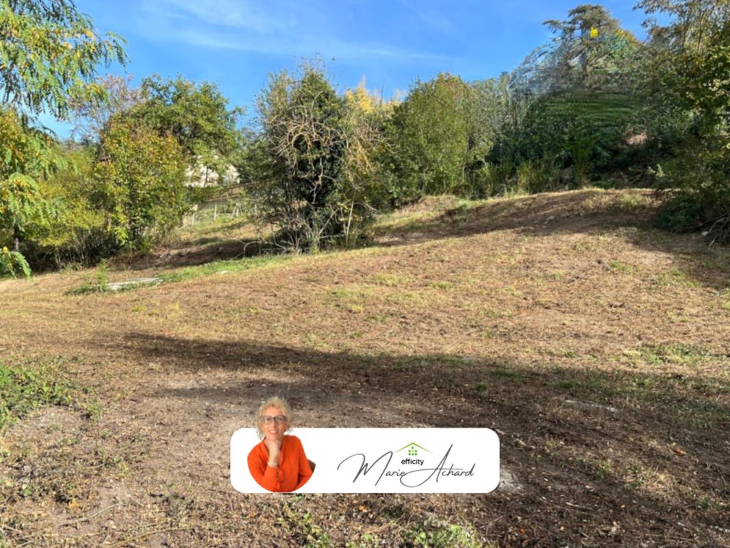 Terrain  Saint-Martin-la-Plaine