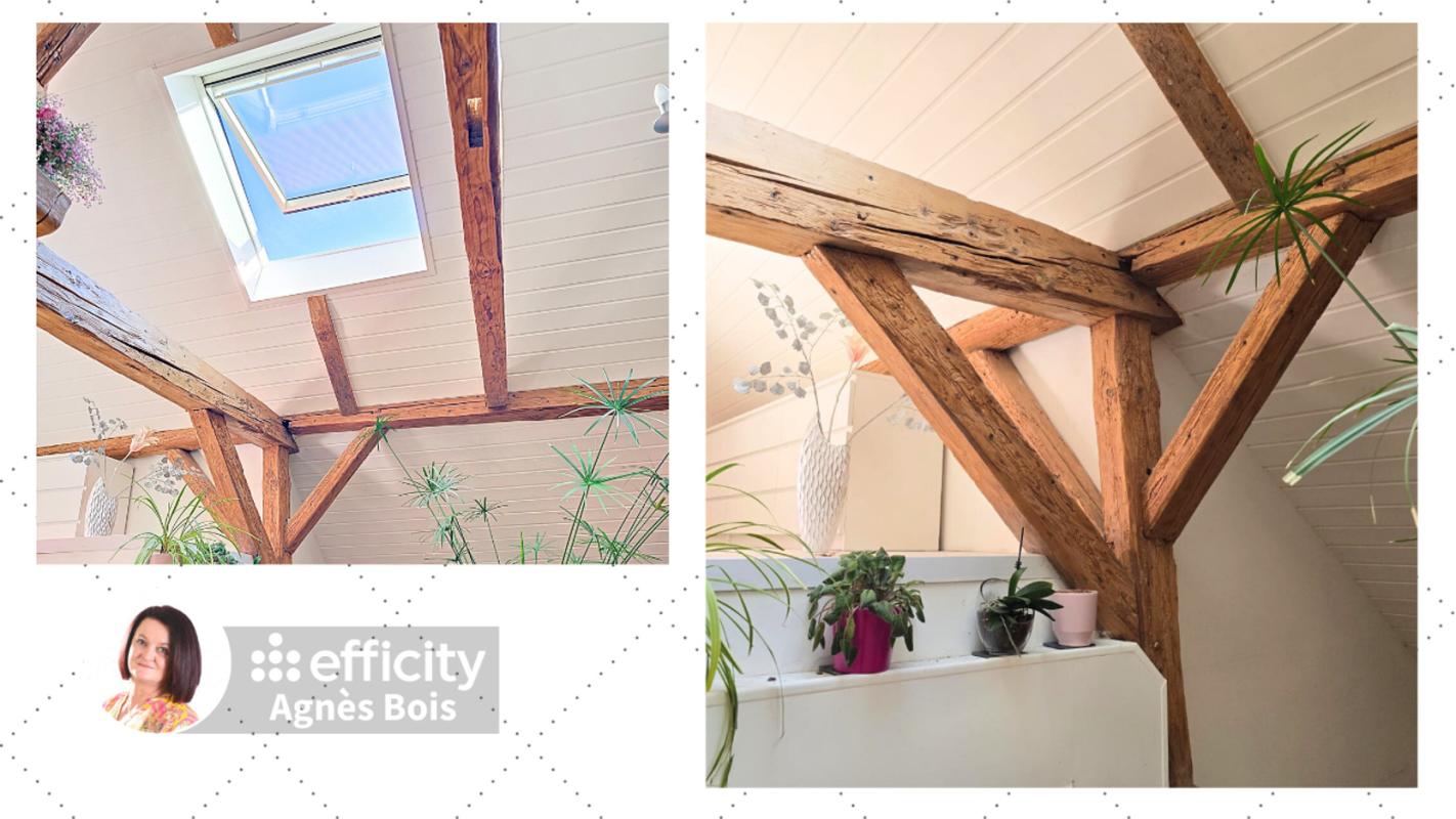 Maison 7 Pièce(s) Fillinges - Photo 4