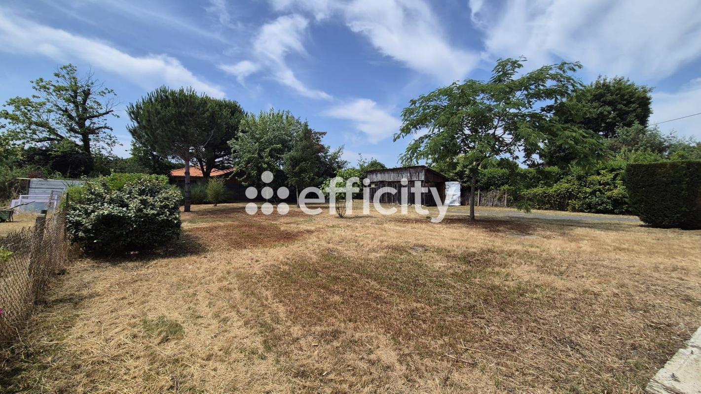 Terrain  Biscarrosse - Photo 2