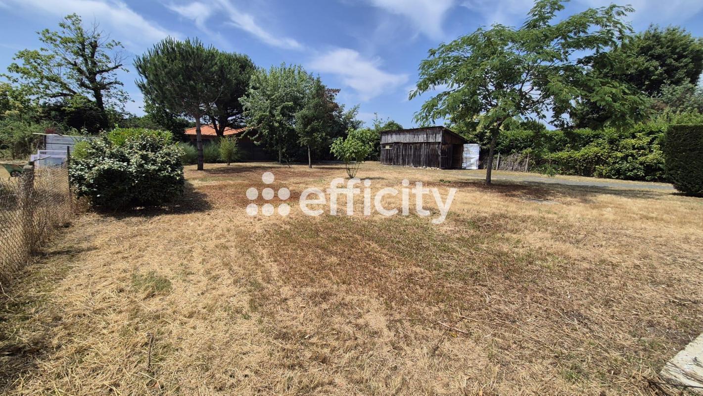 Terrain  Biscarrosse - Photo 6