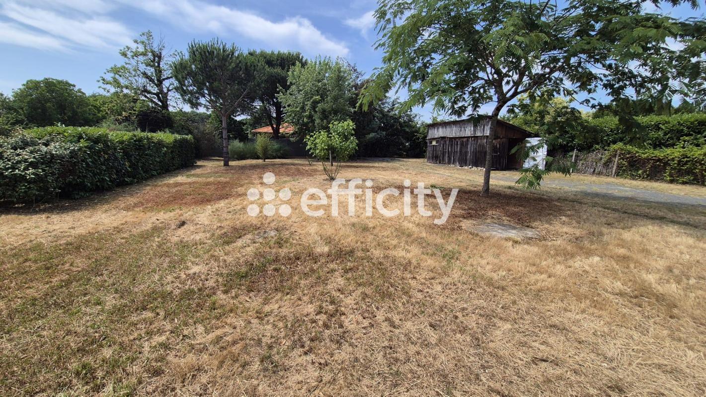 Terrain  Biscarrosse - Photo 7
