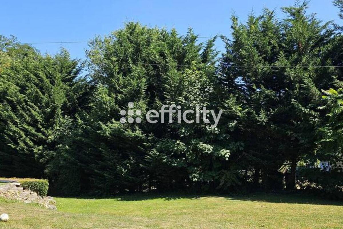 Terrain  Triel-sur-Seine - Photo 4