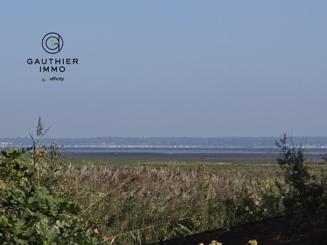 Terrain  Gujan-Mestras