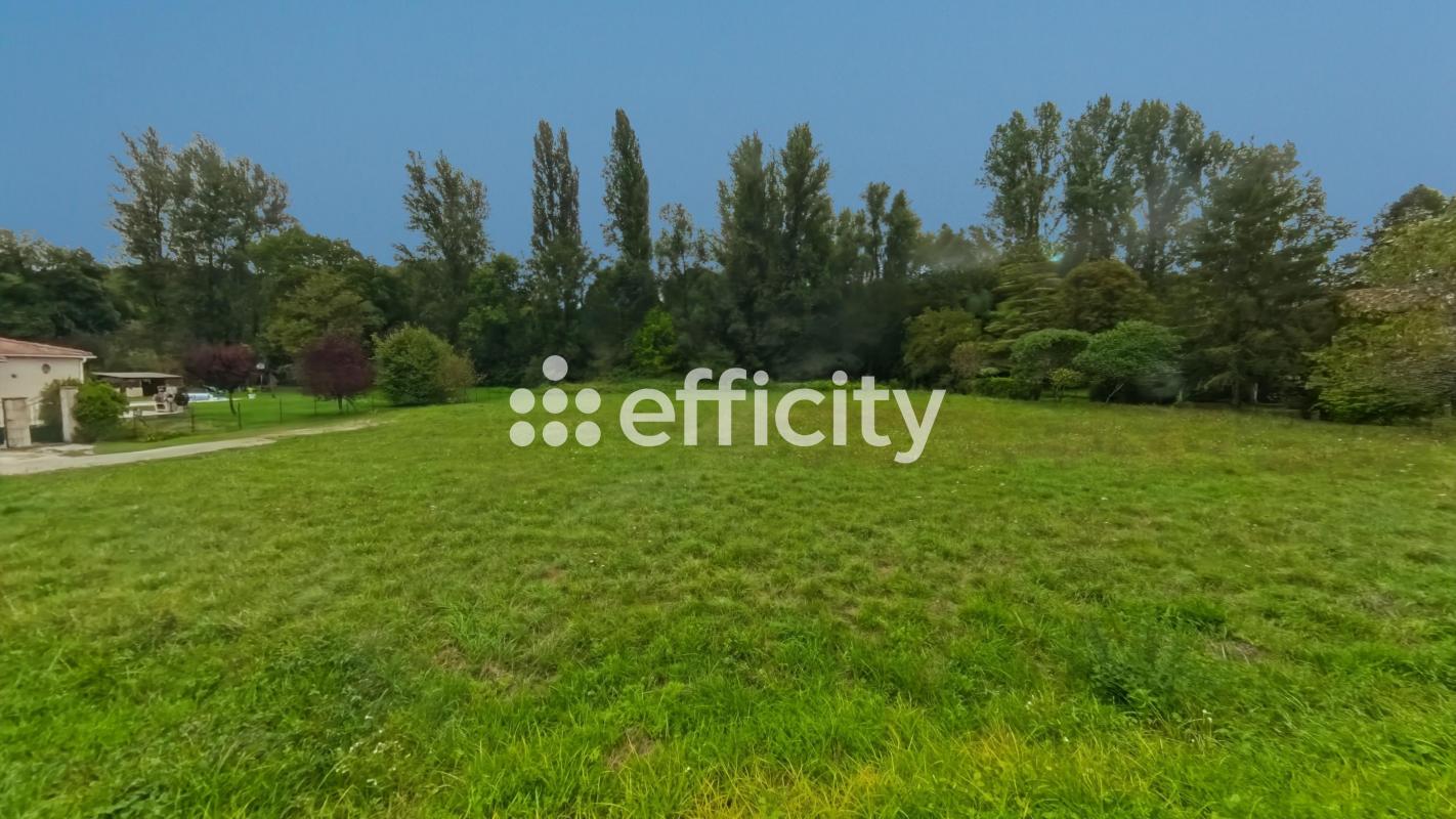 Terrain  Montaigu-de-Quercy - Photo 2