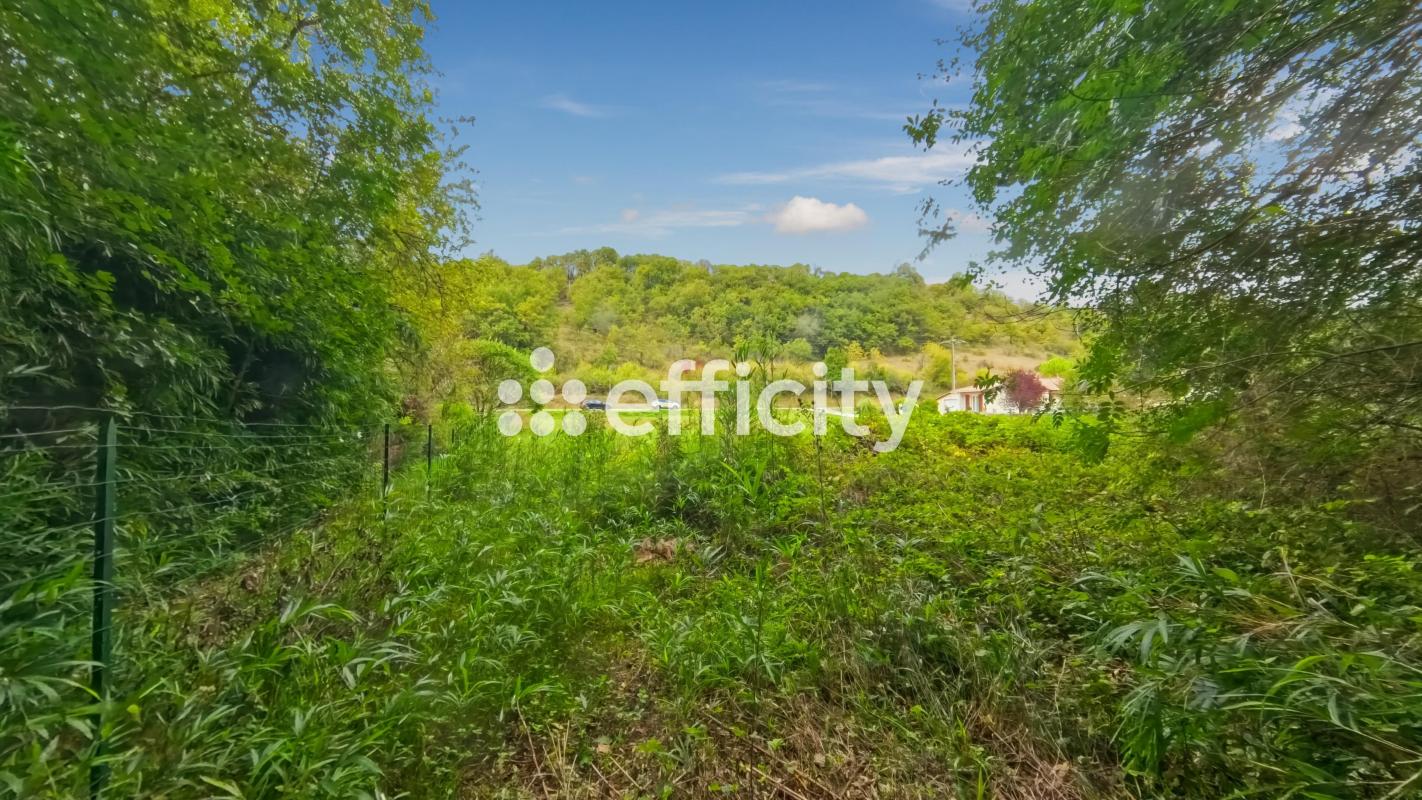 Terrain  Montaigu-de-Quercy - Photo 3