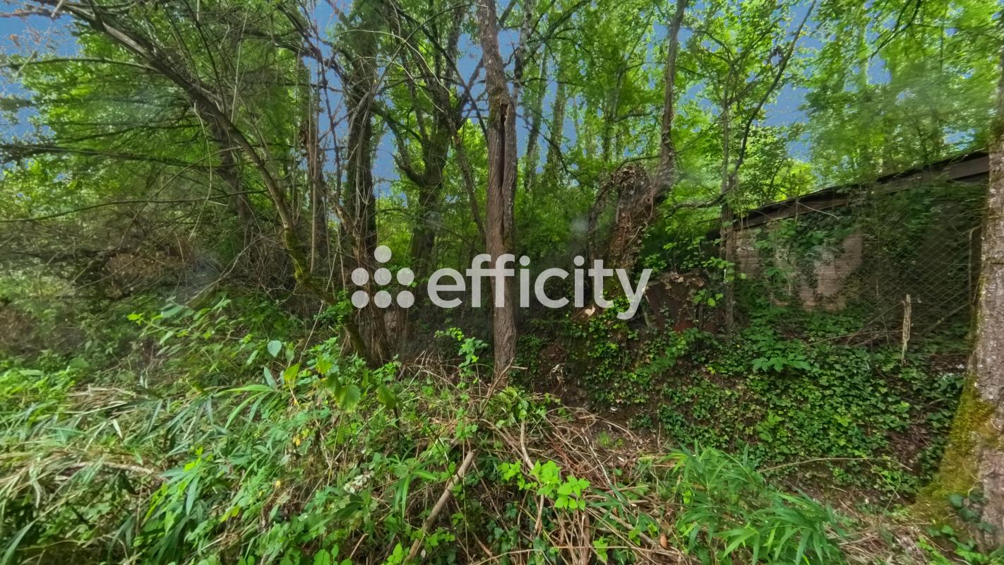 Terrain  Montaigu-de-Quercy - Photo 4
