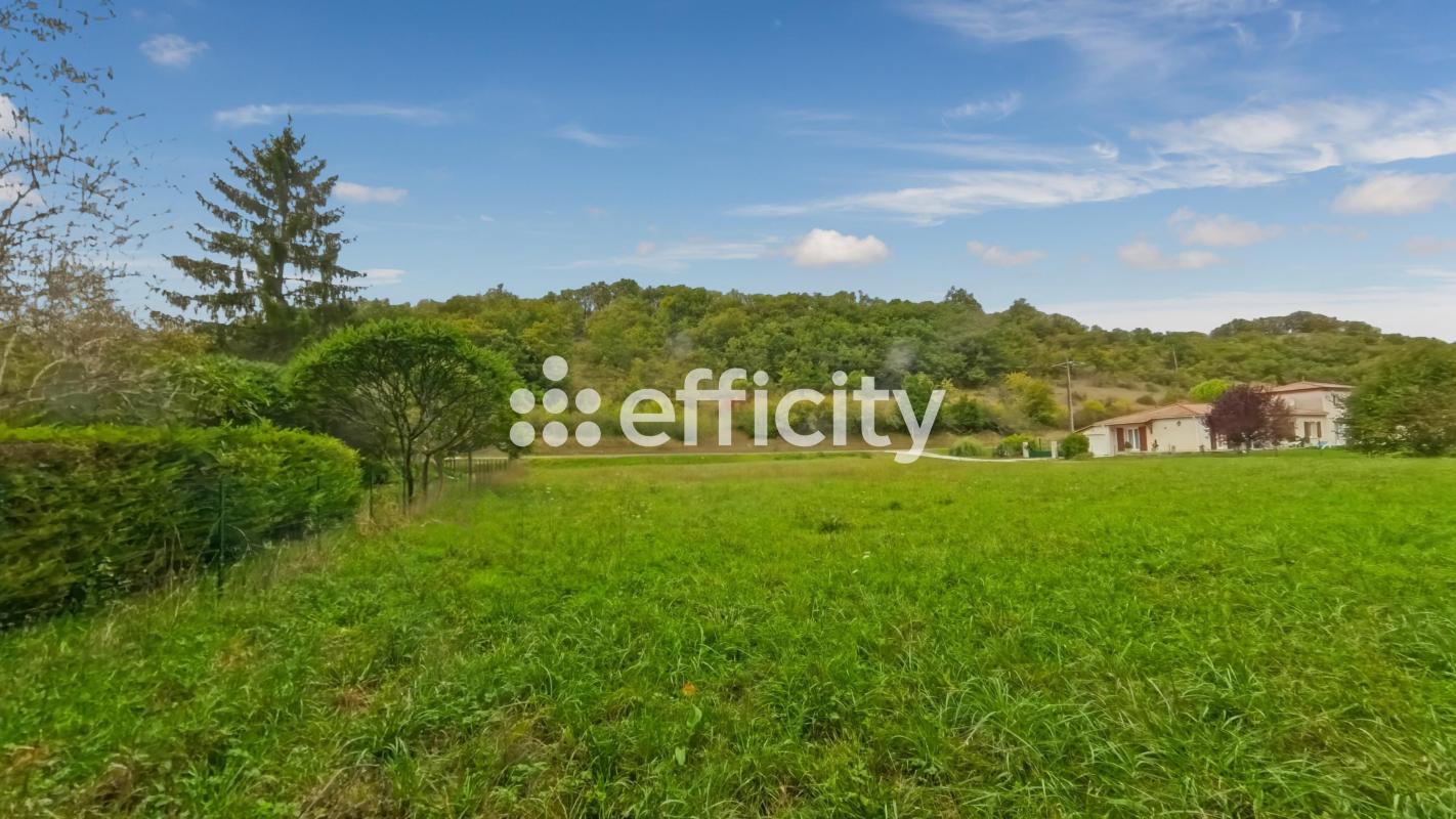 Terrain  Montaigu-de-Quercy - Photo 5